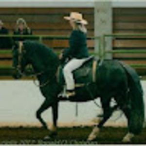 Meet your Posher, Coral